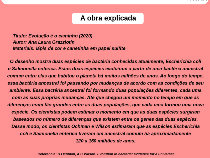 Explicação da obra: Evolução é o caminho (2020)