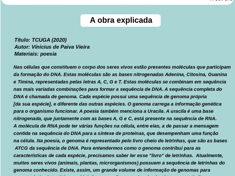 Explicação da obra: TCUGA (2020)