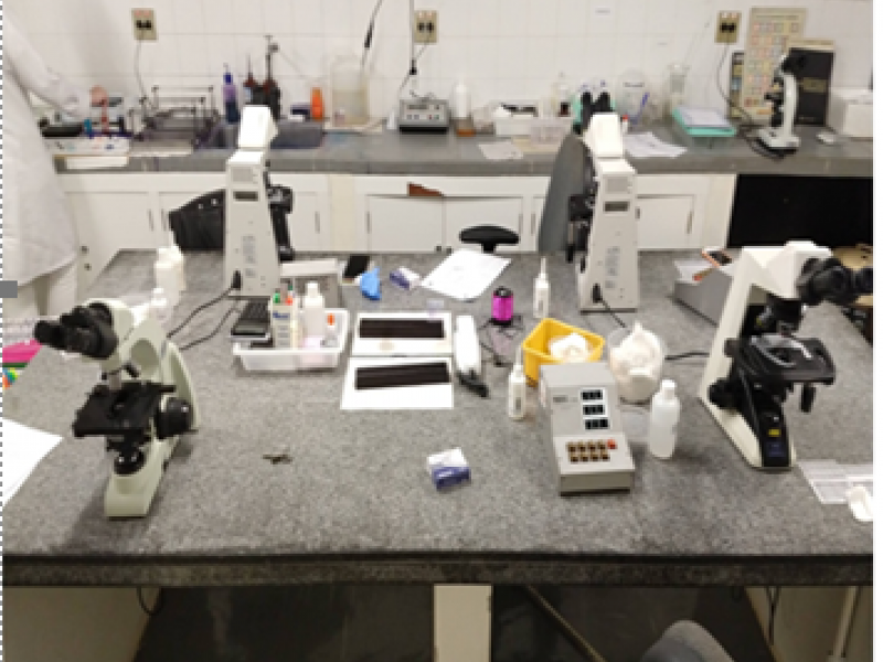 Sala de microscopia