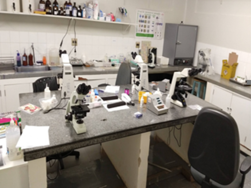 Sala de microscopia