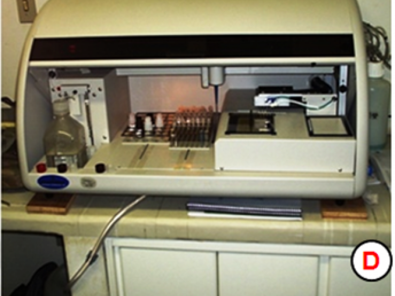 Analisador  bioquímico ChemWell