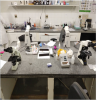 Sala de microscopia