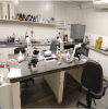 Sala de microscopia